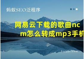 网易云下载的歌曲ncm怎么转成mp3手机