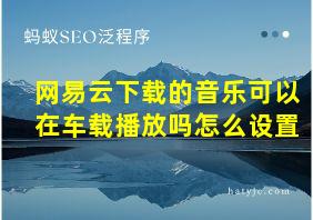 网易云下载的音乐可以在车载播放吗怎么设置