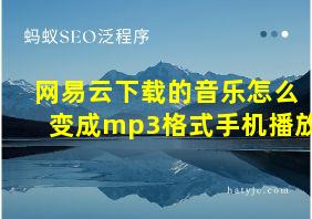 网易云下载的音乐怎么变成mp3格式手机播放