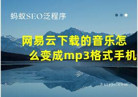 网易云下载的音乐怎么变成mp3格式手机