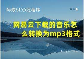 网易云下载的音乐怎么转换为mp3格式