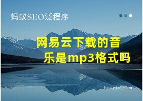 网易云下载的音乐是mp3格式吗