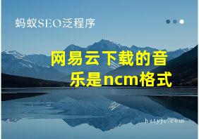 网易云下载的音乐是ncm格式