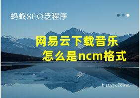 网易云下载音乐怎么是ncm格式