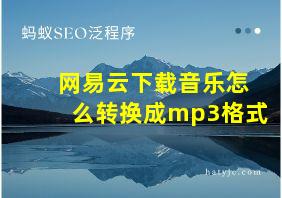 网易云下载音乐怎么转换成mp3格式