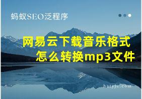 网易云下载音乐格式怎么转换mp3文件