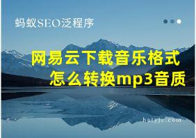 网易云下载音乐格式怎么转换mp3音质