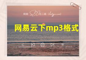 网易云下mp3格式