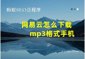 网易云怎么下载mp3格式手机