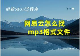 网易云怎么找mp3格式文件