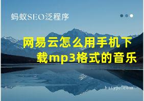 网易云怎么用手机下载mp3格式的音乐