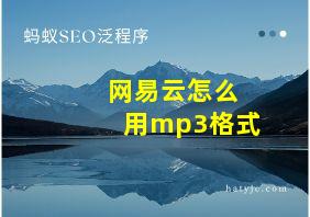 网易云怎么用mp3格式