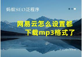 网易云怎么设置都下载mp3格式了