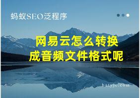 网易云怎么转换成音频文件格式呢