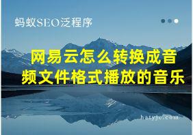 网易云怎么转换成音频文件格式播放的音乐