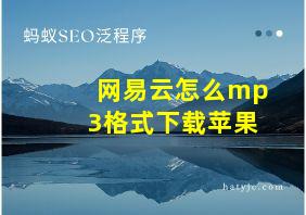 网易云怎么mp3格式下载苹果