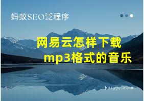 网易云怎样下载mp3格式的音乐