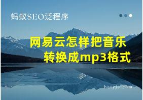 网易云怎样把音乐转换成mp3格式