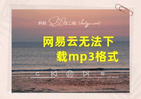 网易云无法下载mp3格式