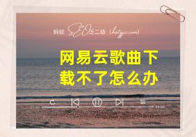 网易云歌曲下载不了怎么办