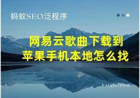 网易云歌曲下载到苹果手机本地怎么找