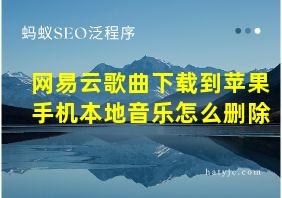 网易云歌曲下载到苹果手机本地音乐怎么删除