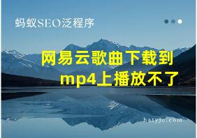 网易云歌曲下载到mp4上播放不了