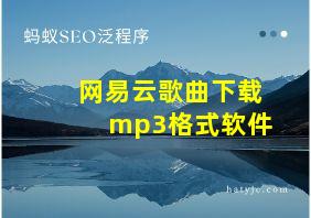 网易云歌曲下载mp3格式软件