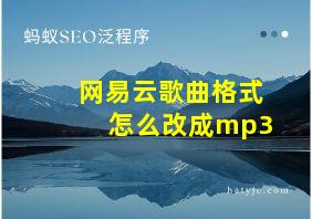 网易云歌曲格式怎么改成mp3