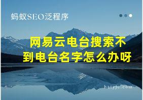 网易云电台搜索不到电台名字怎么办呀