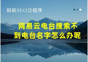 网易云电台搜索不到电台名字怎么办呢