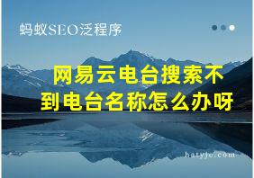 网易云电台搜索不到电台名称怎么办呀