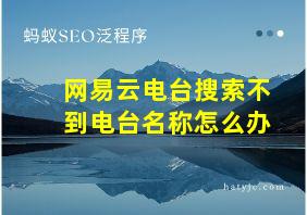 网易云电台搜索不到电台名称怎么办