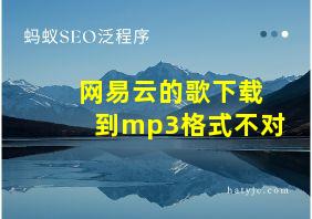 网易云的歌下载到mp3格式不对