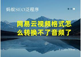 网易云视频格式怎么转换不了音频了