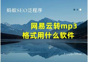 网易云转mp3格式用什么软件