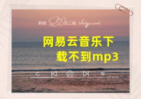 网易云音乐下载不到mp3