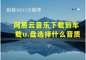 网易云音乐下载到车载u.盘选择什么音质