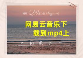 网易云音乐下载到mp4上