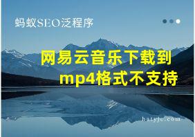 网易云音乐下载到mp4格式不支持