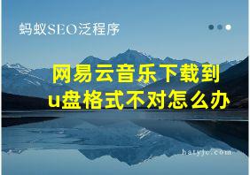 网易云音乐下载到u盘格式不对怎么办