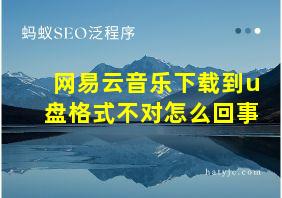 网易云音乐下载到u盘格式不对怎么回事