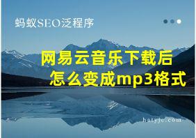 网易云音乐下载后怎么变成mp3格式