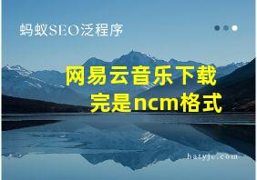 网易云音乐下载完是ncm格式