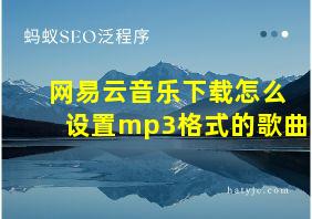 网易云音乐下载怎么设置mp3格式的歌曲