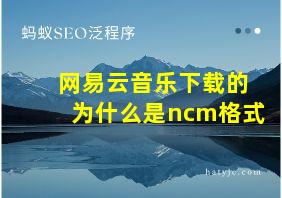 网易云音乐下载的为什么是ncm格式