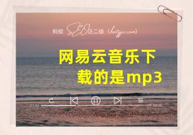 网易云音乐下载的是mp3