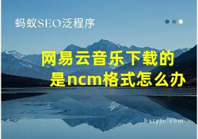 网易云音乐下载的是ncm格式怎么办