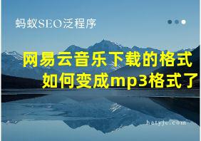 网易云音乐下载的格式如何变成mp3格式了