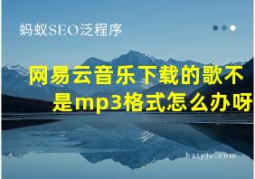 网易云音乐下载的歌不是mp3格式怎么办呀